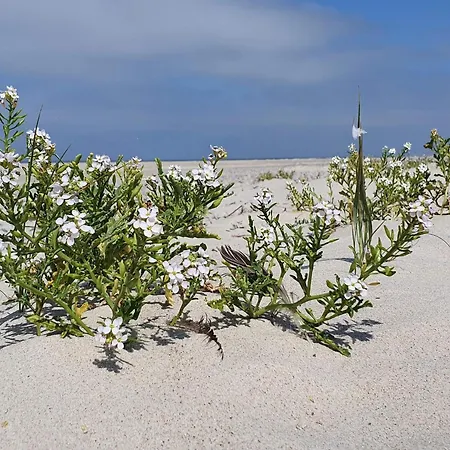 8 Person In Norre Nebel-by Traum